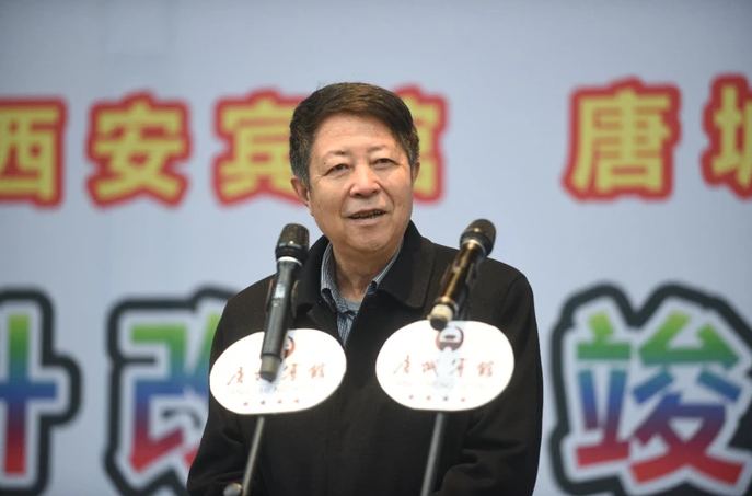 陕西省旅游协会会长辛建伟.jpg